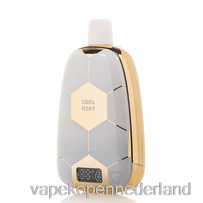 Elektronische Sigaret Vape Ronaldinho 10 15k Wegwerp Cool Mint